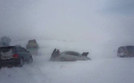 19 настай  жирэмсэн эмэгтэйг нөхрийн хамт олж, эрлийг  зогсоожээ