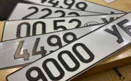 Автомашины “Азын” гэх дугаарыг дуудлага худалдаанд оруулснаар 12.7 тэрбум төгрөгийн орлогыг тусгай санд төвлөрүүлжээ