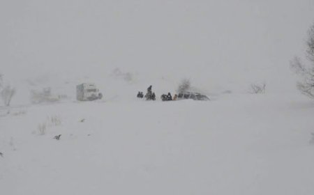 Ихэнх нутгаар хүйтний эрч эрс чангарна