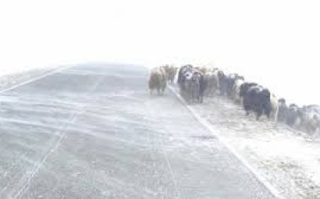 Урд шөнө Завханы  Баянтэс, Тэс суманд  -41 градус хүрчээ