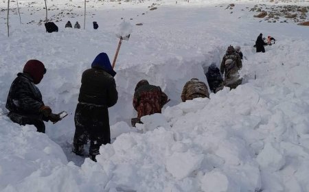 Малдаа яваад цасан нурангинд дарагдсан 26 настай эрэгтэйг дөрөв дэх өдрөө хайж байна