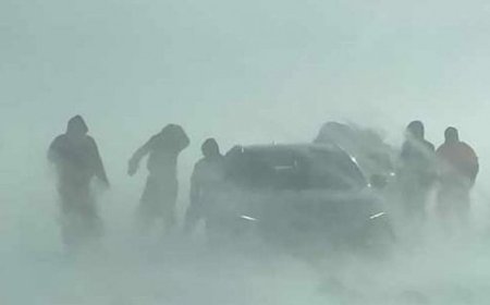 Төөрсөн сураггүй болсон 14 иргэнийг эсэн мэнд оллоо