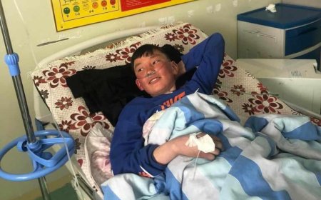 Малтайгаа шуурганд төөрсөн хүү осгохгүйн тулд хонин дундаа орж суусаар амьд гарчээ