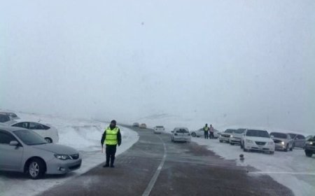 Хаасан замуудыг нээлээ