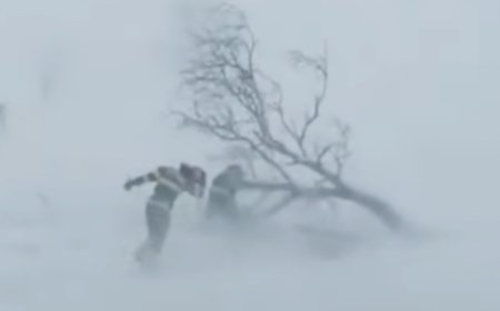 Дорноговийн зүүн, Дорнодын өмнөд, Сүхбаатарын өмнөд болон зүүн хэсгээр цасан шуурга шуурна