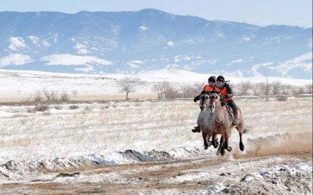Төв аймгийн Сэргэлэн суманд хууль зөрчин өвлийн уралдаан зохион байгуулжээ