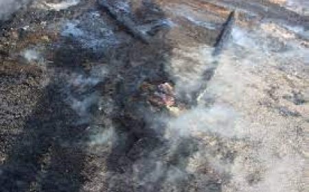 Айлын өвөлжөөнд  гал гарч, гэр өвөлжөө нь шатжээ