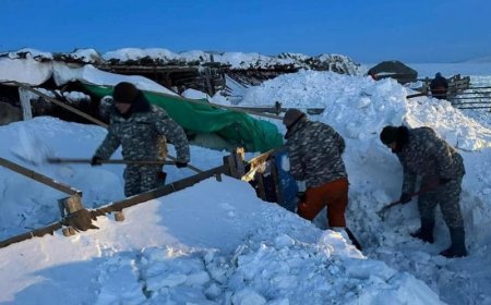 49 жил ажиглагдаагүй цас ихтэй жил Монголд тохиож байна