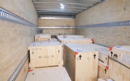 Хууль бусаар худалдаалагдсан зургаан төрлийн үлэг гүрвэлийн 16 олдворыг хүлээн авлаа