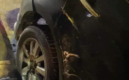 СОГТУУГААР ЖОЛОО БАРЬЖ  "СУРГУУЛИЙН АВТОБУС"  МӨРГӨЖЭЭ