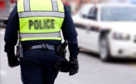 ЦЕГ: Бөхийн сорьц авах шинжилгээг будилаантуулсан гэдэг нь худал