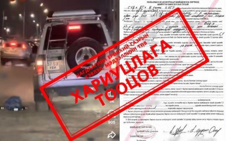 Хог хаясан жолоочид хариуцлага тооцлоо