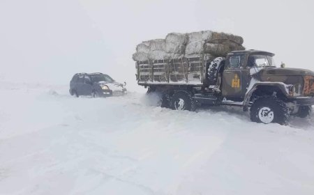 Гуу жалганд 100 см хүртэл зузаан цастай байна
