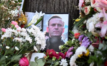 Алексей Навальный агсны шарилыг ээжид нь хүлээлгэн өгч, түүний үхлийг  “жам ёсны” гэж тодорхойлжээ