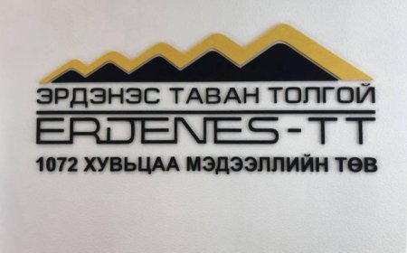 1072 хувьцааны ногдол ашиг болох 256 мянган төгрөгийг ирэх дөрөвдүгээр сард олгоно