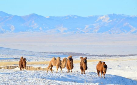 Гуравдугаар сарын цаг агаарын урьдчилсан мэдээ гарлаа