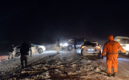 Гамшиг, аюулт үзэгдлийн улмаас хоёр хүн нас барж, хоёр  хүн гэмтэж бэртжээ