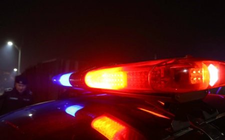 Эхнэрээ хөнөөгөөд цогцсыг нь мөчилж, нохойд өгсөн хэргийг илрүүлэн шалгаж байна