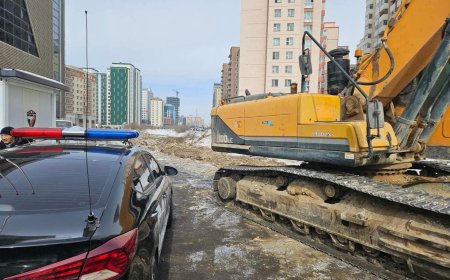 S Оutlet төвийн орчимд Сэлбэ голын дагуу мод тайрч байна