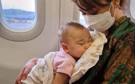 Хүүхдээ хоёр нас хүртэл нь бойжуулж буй эцэг, эхийн аль нэгийн ЭМД-ын шимтгэлийг төр төлнө