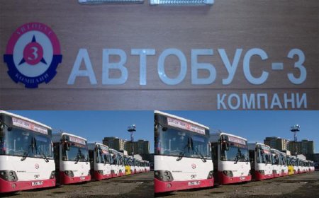 Төрийн өмчит 5 бааз байгуулахыг НИТХ дэмжлээ