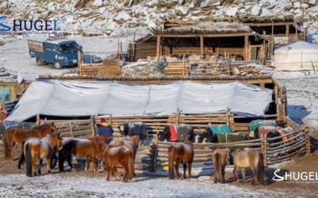 УЛААНБААТАРТ 11 ХЭМ ХҮЙТЭН