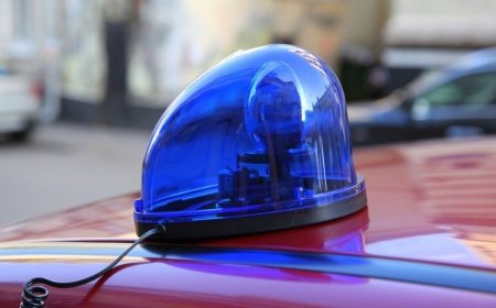 Тусгай дуут дохио суурилуулсан жолоочийг 100 мянган төгрөгөөр торголоо