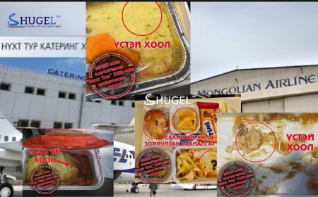 МИАТ-ЫН ХООЛ ЗОРЧИГЧДЫГ ХООЛЛОСОН УУ, НҮХТ ТУР-ЫГ ХООЛЛОСОН УУ?