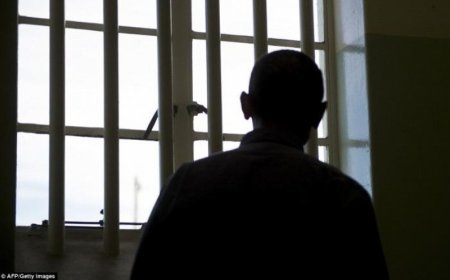 Багануур дахь хорих ангиас өнгөрсөн шөнө хоёр  хоригдол оргожээ