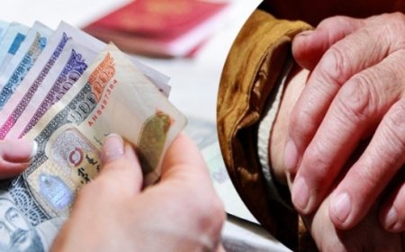 Танилц: Дөрөвдүгээр сарын 1-нээс цалин, тэтгэвэр, аймаг, орон нутгийн нэмэгдлийг ингэж олгоно