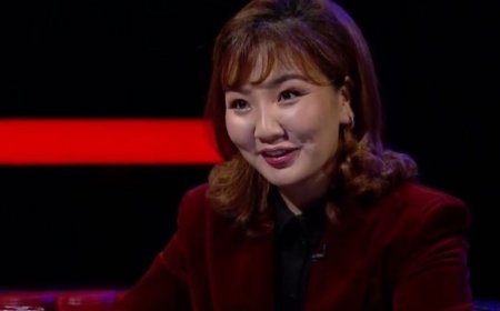 Шүүхээс Н.Өнөрцэцэгийн мэргэжлийн үйл ажиллагаа эрхлэхийг түдгэлзүүлжээ