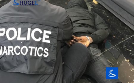 ЦЕГ: Өсвөр насны  дөрвөн хүүхэд  нийлж автомашин хулгайлж, хар тамхи хэрэглэсэн байж болзошгүй