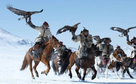 "Бүргэдийн баяр 2024" наадам үзэх иргэдэд автобус үнэ төлбөргүй үйлчилнэ