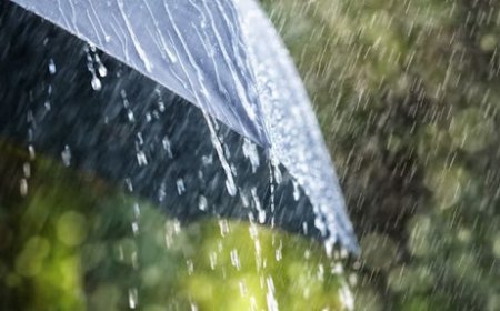 АНХНЫ БОРОО 3 САРЫН 8-20-НЫ  ХООРОНД ОРНО