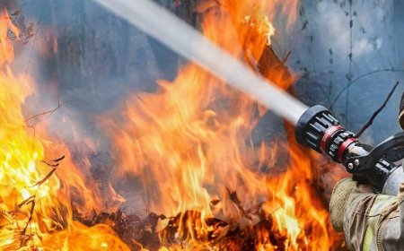 Нийтийн байранд гал гарч, 14 хүний амь насыг аварчээ