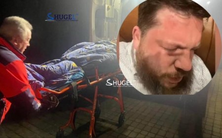 Навальныйн холбоотон Леонид Волковд халдсан халдлага үйлдэгчдийн сэдэл нь тодорхойгүй хэвээр байна