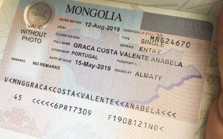 Монгол Улсын виз олгох журамд өөрчлөлт орууллаа