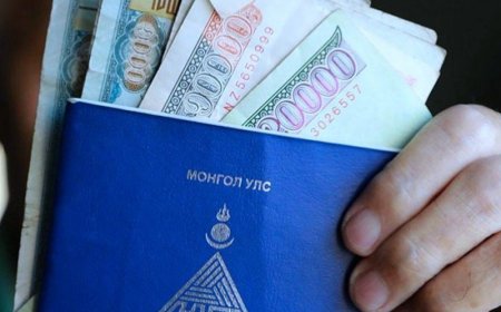 Ажилгүйдлийн, жирэмсний, амаржсаны  зэрэг тэтгэмжийг даатгуулагчдын дансанд ирэх даваа гарагаас шилжүүлнэ