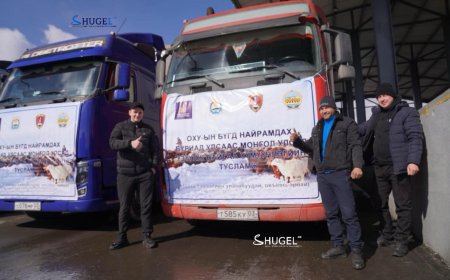 ОХУ-ын Засгийн газраас Монгол руу илгээсэн эхний ээлжийн 250 тонн хүчит тэжээл  ирлээ