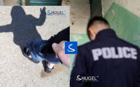 Цэцэрлэгээс хүүхэд алга болсныг мэдээгүй багшид  300 мянган төгрөгийн торгууль ногдууллаа