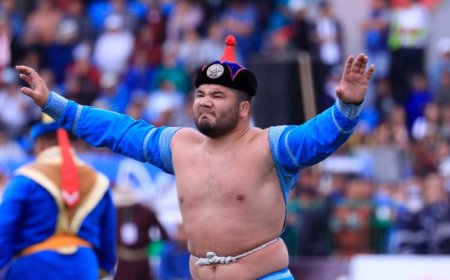 Улсын заан Б.Серикийн барилдах эрхийг сэргээлээ