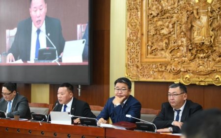 АН-ын бүлэг Үндсэн хуулийн цэцийн тухай хуулийн шинэчилсэн найруулгын төслийг дэмжихгүй