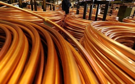 ЭРДЭНЭТ ҮЙЛДВЭР "ЗЭСИЙН БАЯЖМАЛЫН" 30 МЯНГАН ТООНЫГ БИРЖЭЭР АРИЛЖИНА