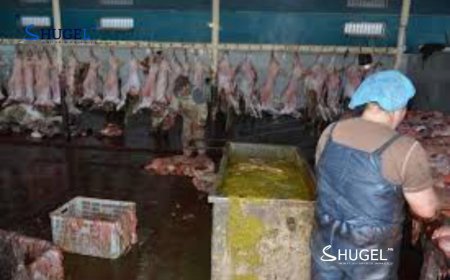 Эмээлтийн махны үйлдвэрийн үйл ажиллагааг зогсоолоо