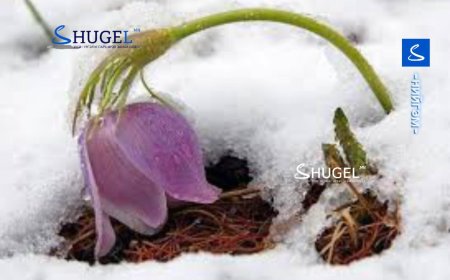 Ойрын хэд хоног ихэнх нутгаар дулаарах боловч Бямба гарагт хүйтэрнэ