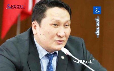 Н.Ганибал: Сүхбаатар аймагт өгсөн есөн машины зургаа нь 40км яваад эвдэрсэн