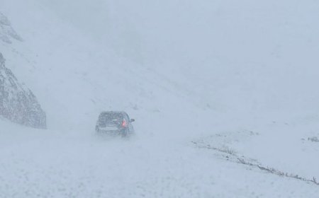 Цасанд суусан машинаа гаргах гэж яваад хөлдөж амиа алджээ