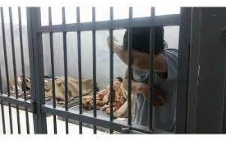 Цэргийн баяр тэмдэглэсэн зургаан эмэгтэй эрүүлжүүлэхэд хоножээ