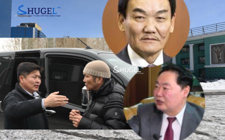 Т.Нямдаваа: Төв цэнгэлдэхийн 7 га газраас Н.Багабандийн 2 хүүхэд, “Эрэл“-ийн Б.Эрдэнэбатын 2 хүүхэд авсан