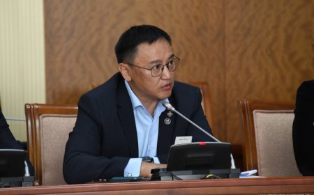 "Амьгүй донороос эд, эртхэнг нь авсан шуугиан гарч байсан. Талийгаач нийгмийн халамжийн татвар төлдөггүй байсан учраас оршуулгын зардлыг нь өгч чадаагүй“